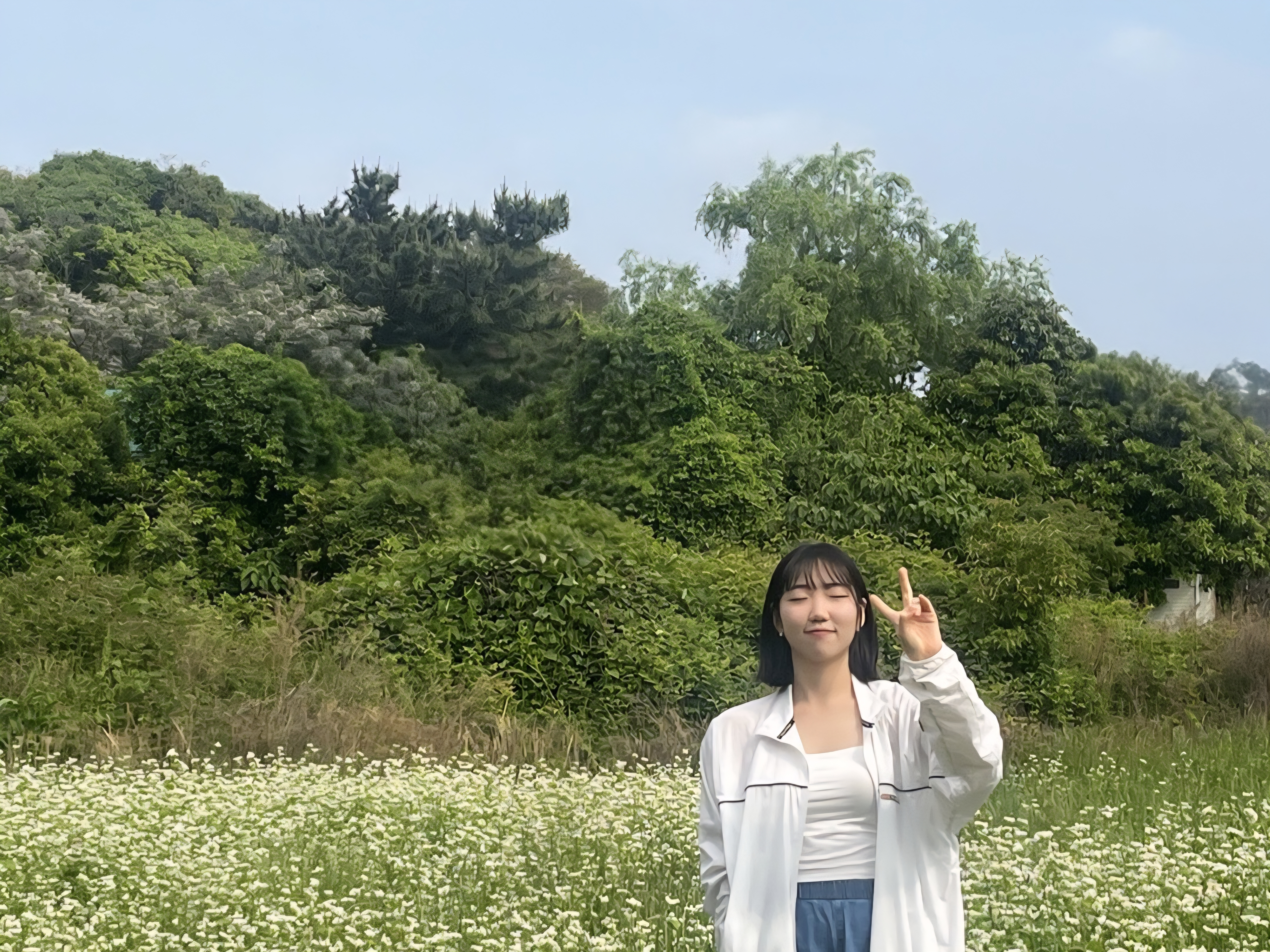유채꽃밭